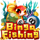 Bingo Fishing on 8xx01